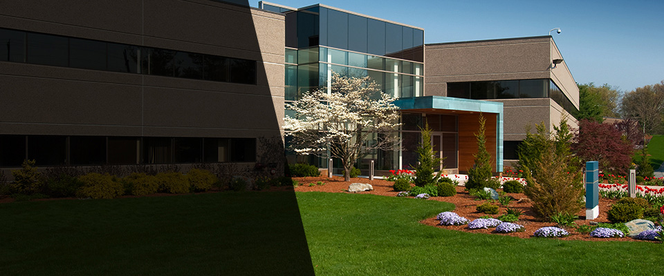 Oakland Gardens Landscapers