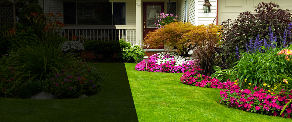 Oakland Gardens Landscapers