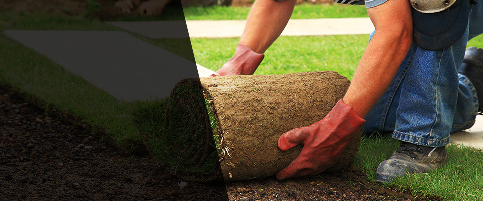 Oakland Gardens Landscapers